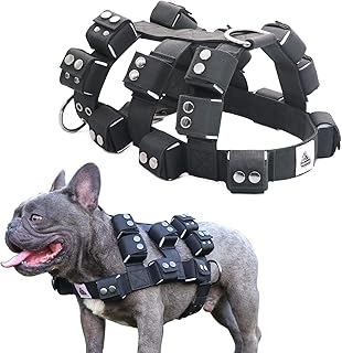 Dog Harness for All Sizes with Pockets and No Pull