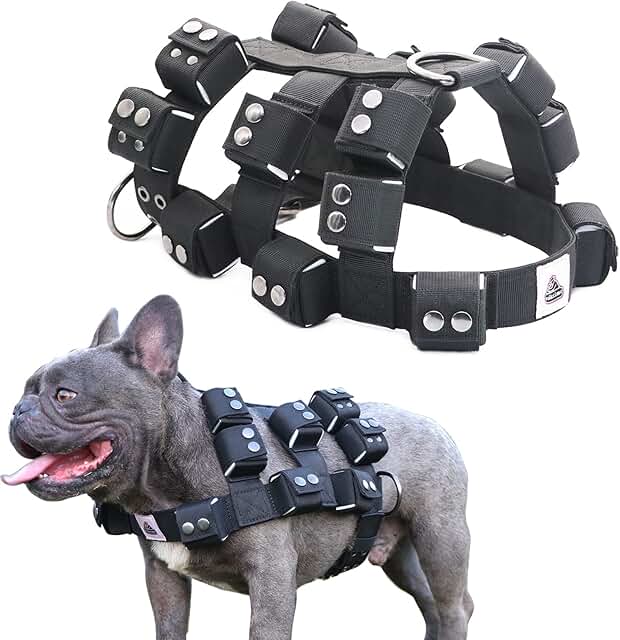 Dog Harness for All Sizes with Pockets and No Pull