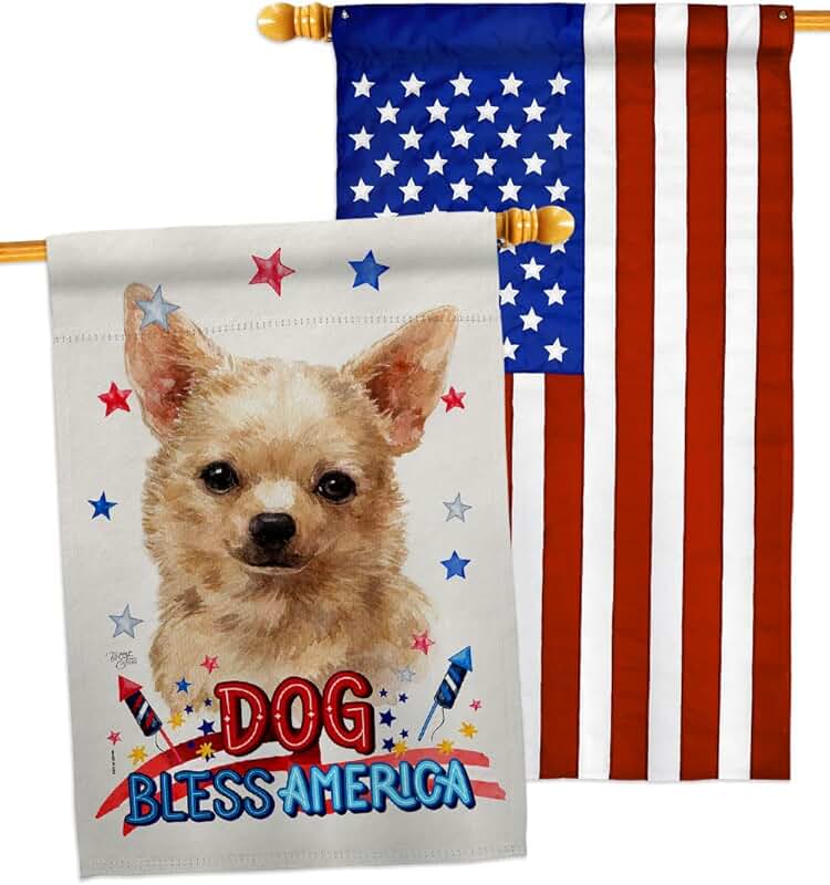 Patriotic Chihuahua House Flag for Garden or Yard