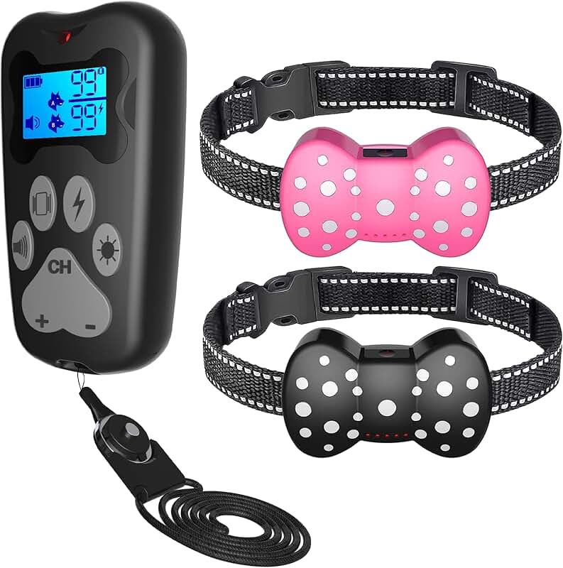 Dog Training Collar for Two Dogs with Remote