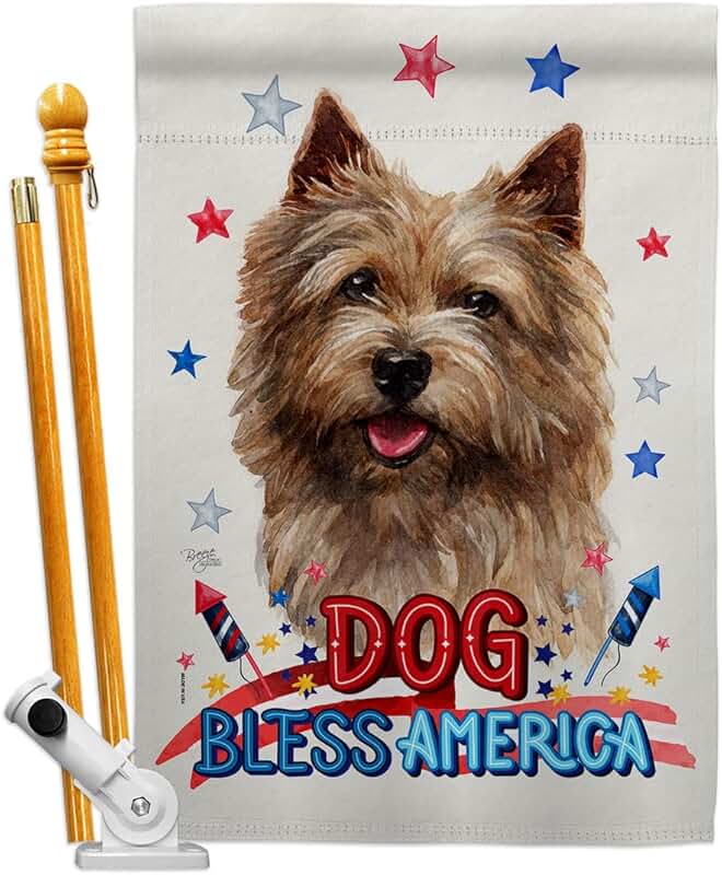 Patriotic Norwich Terrier Dog House Flag Set