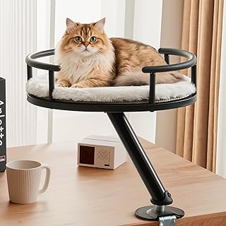 Rotating Cat Desk Bed for Indoor Pets