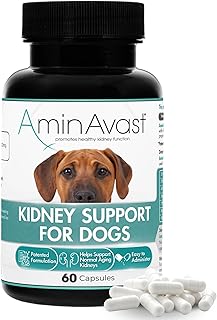 Dog Kidney Support Supplement for Healthy Aging