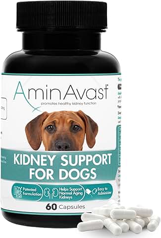 Dog Kidney Support Supplement for Healthy Aging