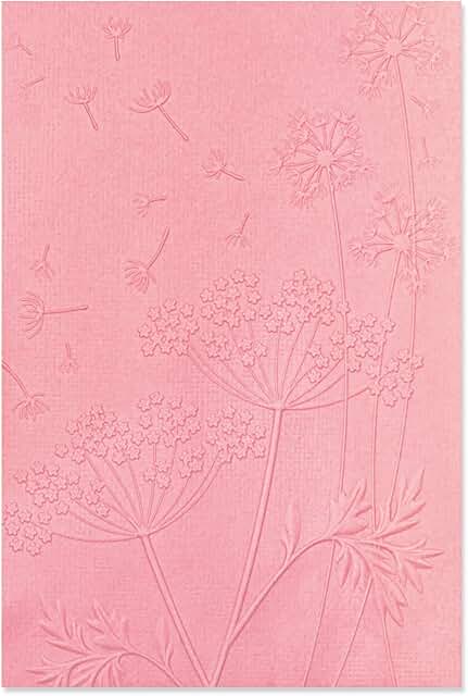 Summer Wishes 3D Textured Embossing Folder