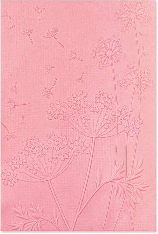 Summer Wishes 3D Textured Embossing Folder