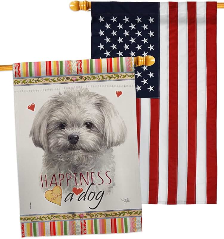Cute Maltese Dog House Flag Pack for Garden or Yard