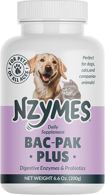 Digestive Enzymes and Probiotics for Better Digestion
