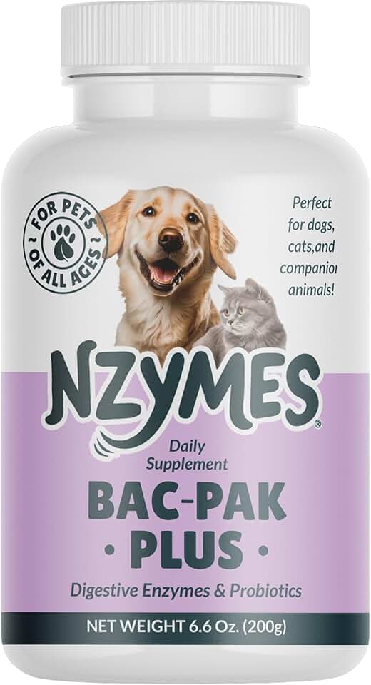 Digestive Enzymes and Probiotics for Better Digestion