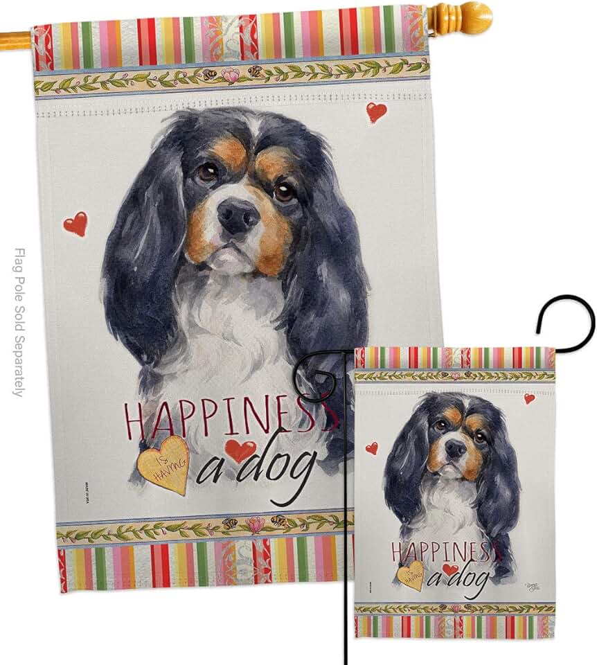 Cavalier Spaniel Garden House Flag Set