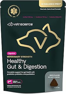 Healthy Gut & Digestion Support for Pets