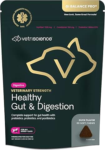 Healthy Gut & Digestion Support for Pets