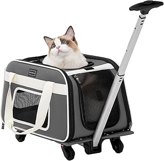 Airline Approved Cat and Small Dog Carrier with Wheels