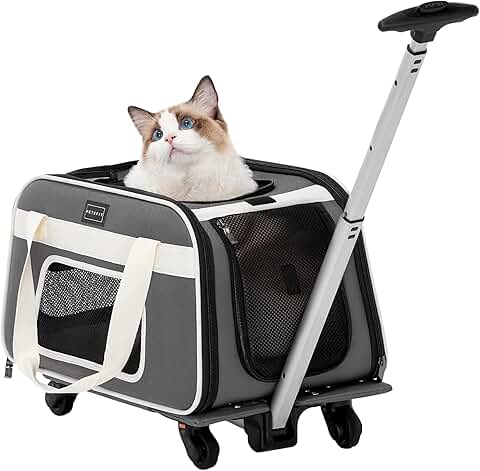 Airline Approved Cat and Small Dog Carrier with Wheels