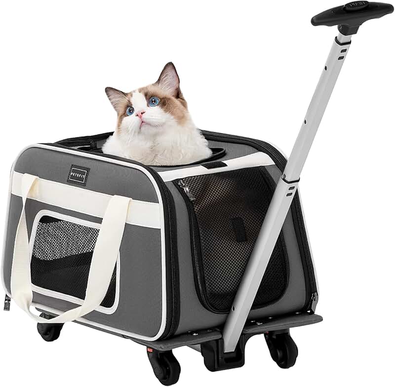 Airline Approved Cat and Small Dog Carrier with Wheels