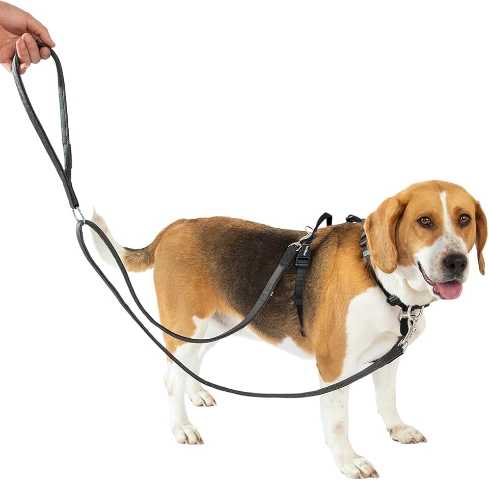 Dog harness with leash set, adjustable, easy to use
