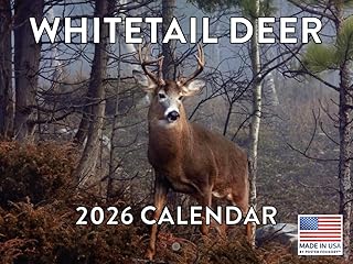 Whitetail Deer Calendar 2026, 12 Months