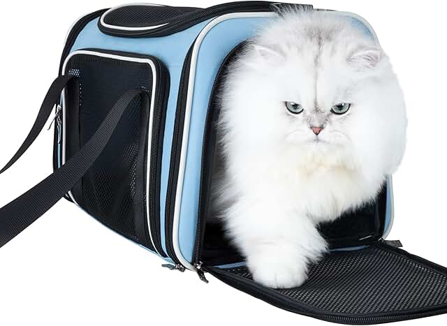 Pet Carrier Bag for Medium Cats and Puppies