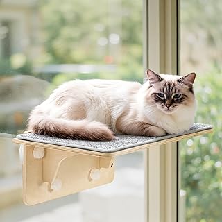 Large Cat Window Perch and Wall Shelves