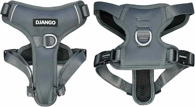Durable Neoprene Dog Harness for Small Dogs