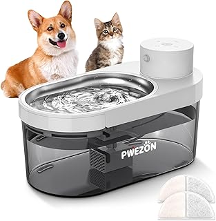 Wireless Pet Water Fountain with Motion Sensor and Filters