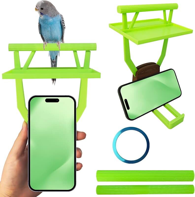 Bird Perch with Toy, Poop Catcher, and Phone Holder