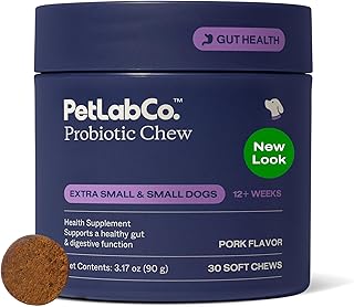 Probiotics for Dogs to Support Digestive Health