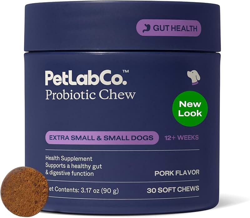 Probiotics for Dogs to Support Digestive Health