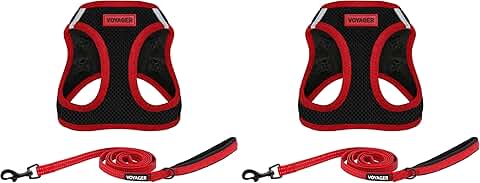 All Weather Mesh Dog Harness and Leash Set