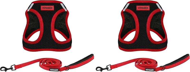All Weather Mesh Dog Harness and Leash Set