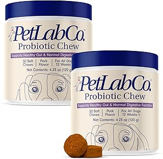 Probiotics for Dogs to Support Gut and Digestive Health