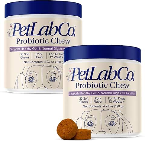 Probiotics for Dogs to Support Gut and Digestive Health