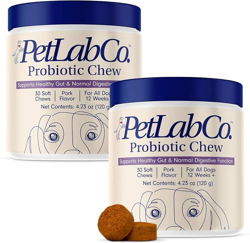 Probiotics for Dogs to Support Gut and Digestive Health