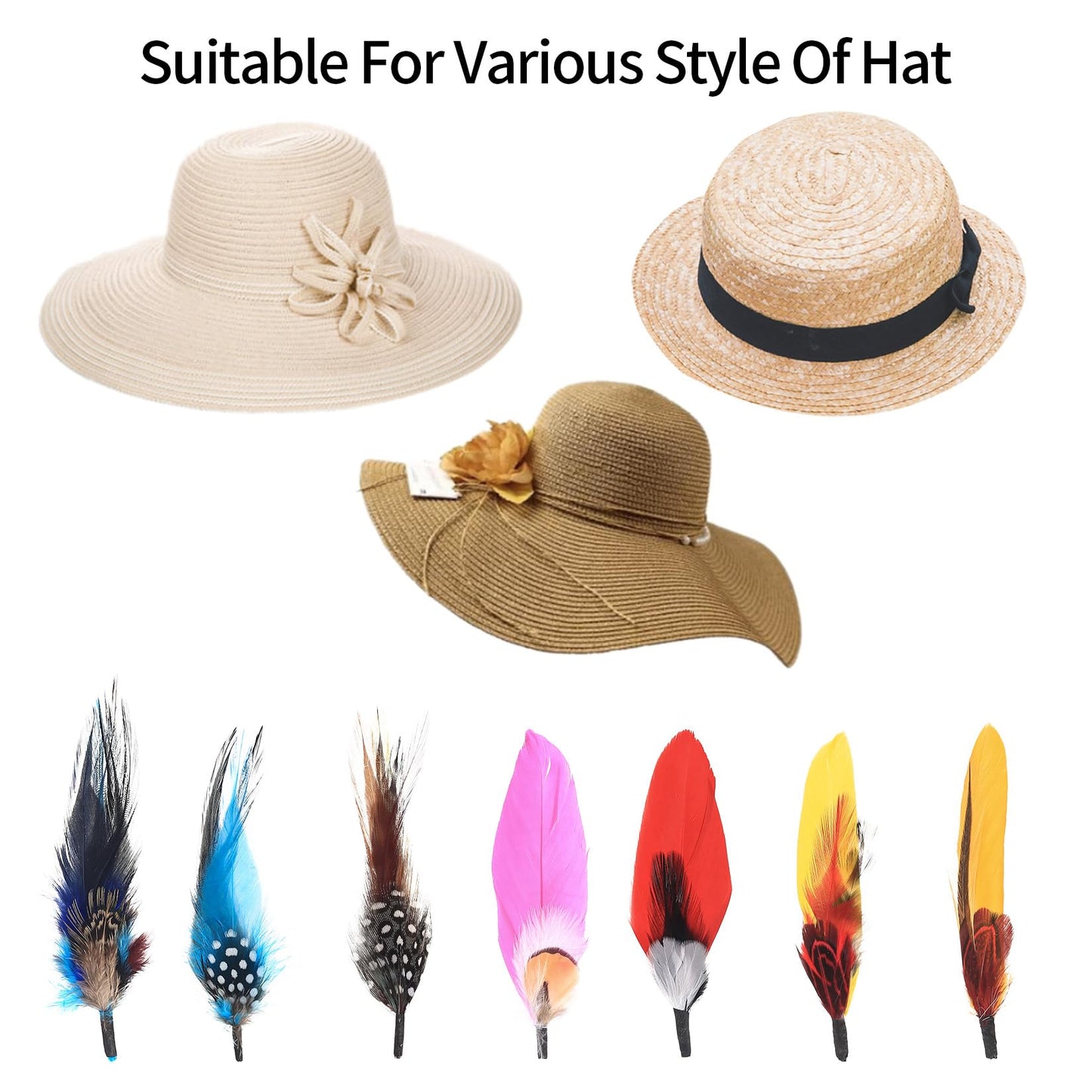 12 Natural Assorted Hat Feathers for DIY and Decorations