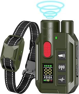 Dog Training Collar with Remote and Waterproof Design