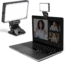 Video Conference Lighting Kit with Adjustable Brightness and Color