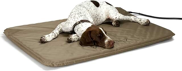 Heated Outdoor Dog and Cat Bed with Warming Pad