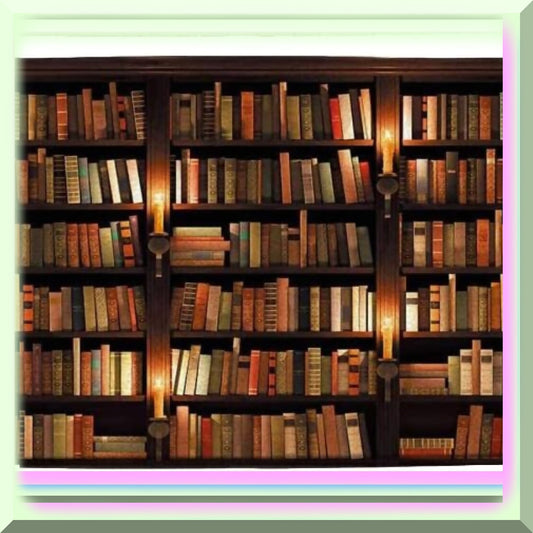 Bookshelf Bath Mat 17.7"X29.5" Vintage Library Design