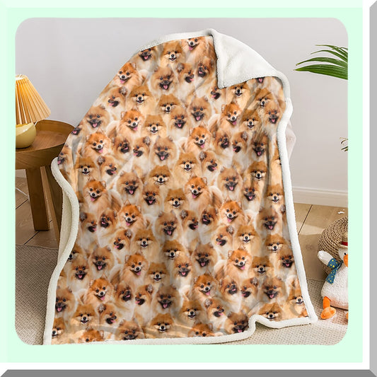 Pomeranian Paws Sherpa Throw: Cozy Flannel Fleece Blanket for Kids & Adults, Double-Sided Animal Pattern, Perfect Gift for Pomeranian Lovers (59 x 47 inches)