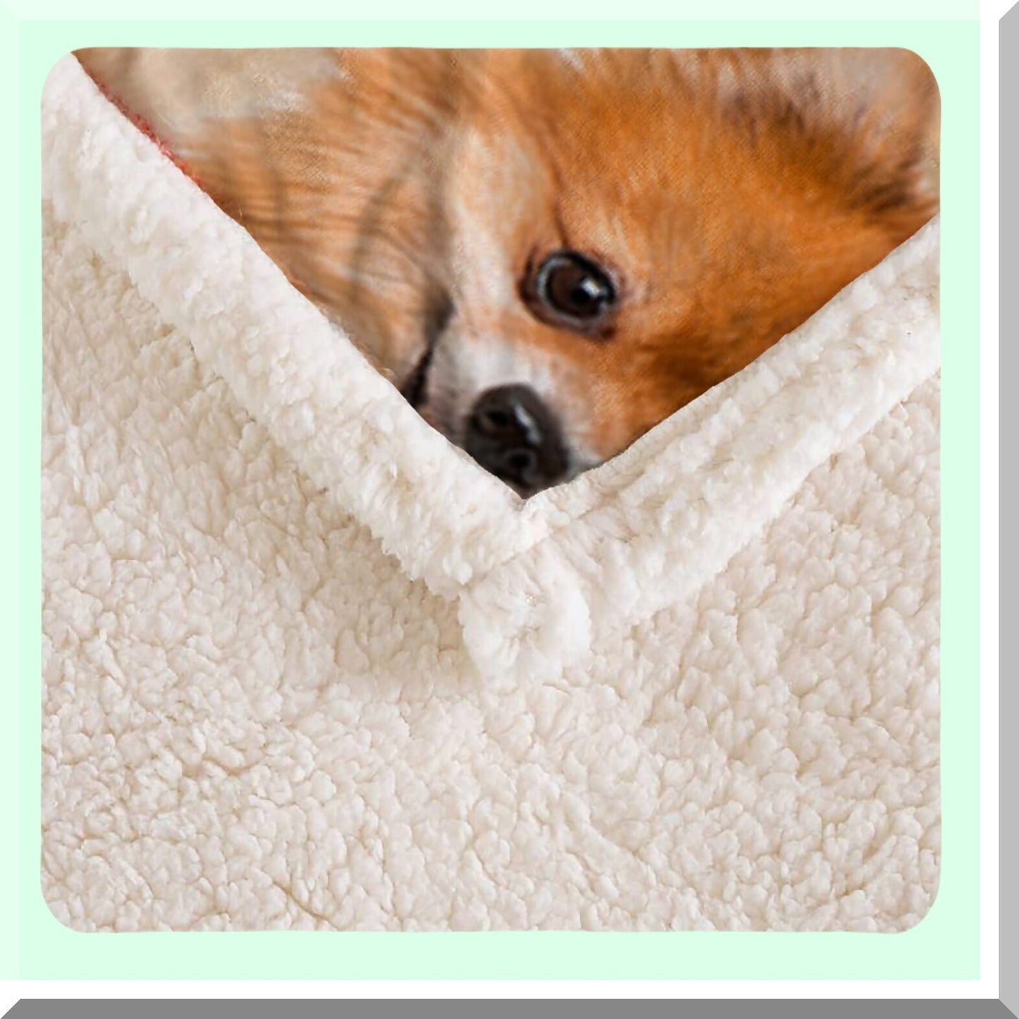 Pomeranian Paws Sherpa Throw: Cozy Flannel Fleece Blanket for Kids & Adults, Double-Sided Animal Pattern, Perfect Gift for Pomeranian Lovers (59 x 47 inches)