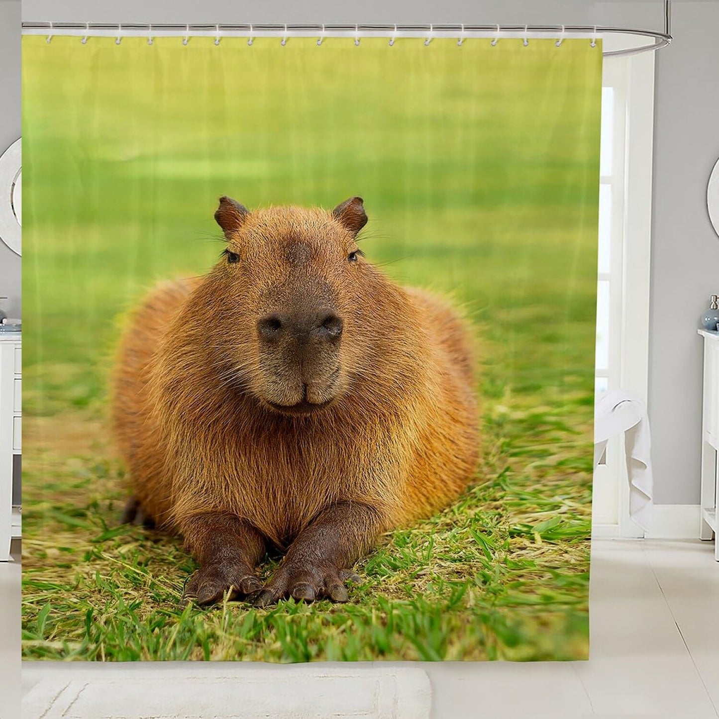 3D Capybara Shower Curtain 72x72 Waterproof Bathroom Decor