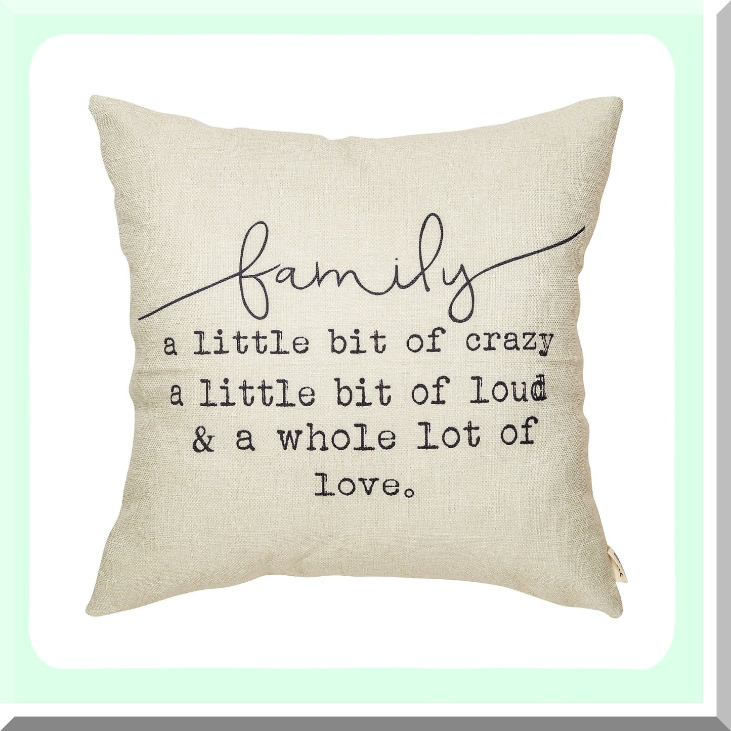 Rustic Farmhouse Inspirational Quote Pillow Covers - Winter Decorative Cushion Case for Sofa Couch - Family Crazy Home Decor Gifts 18x18