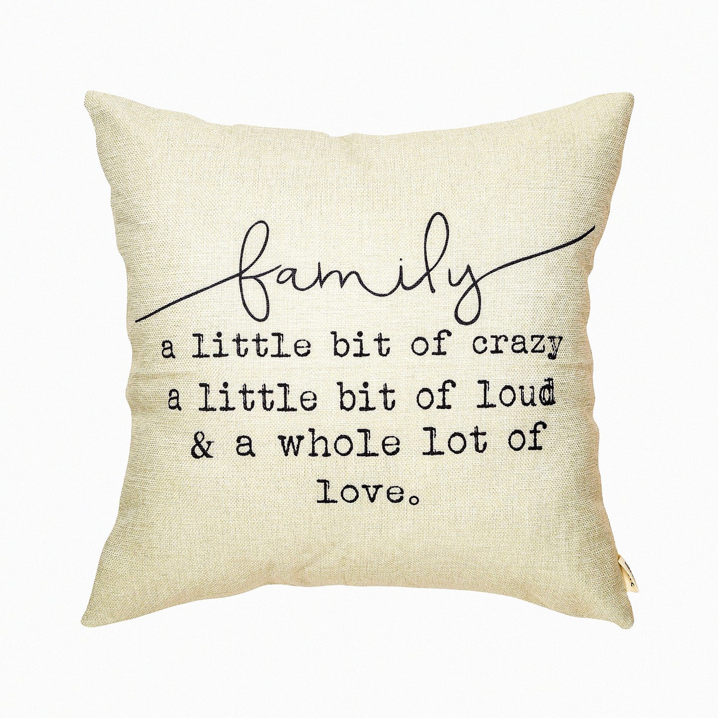 Rustic Farmhouse Inspirational Quote Pillow Covers - Winter Decorative Cushion Case for Sofa Couch - Family Crazy Home Decor Gifts 18x18