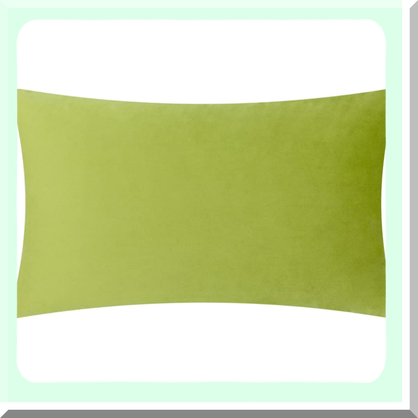 Velvet Green 3D Floral Pillowcase - Soft Cushion Cover for Bed Couch Sofa - Decorative Throw Pillow Cover - Living Room Decor - 12 x 20 Inches