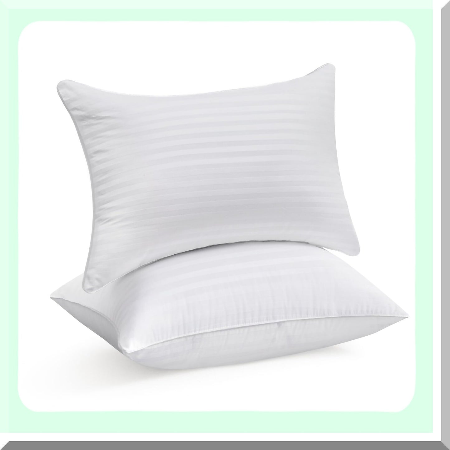 FluffCozy Square Pillow Inserts - Firm & Fluffy Decorative Cushions for Couch, Bed & Sofa - Soft Cotton Cover White Cushion - Down Alternative - Pack of 2