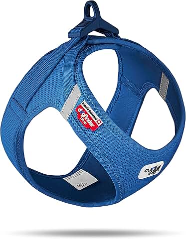 Air-Mesh Dog Harness with Clasp and Comfortable Fit