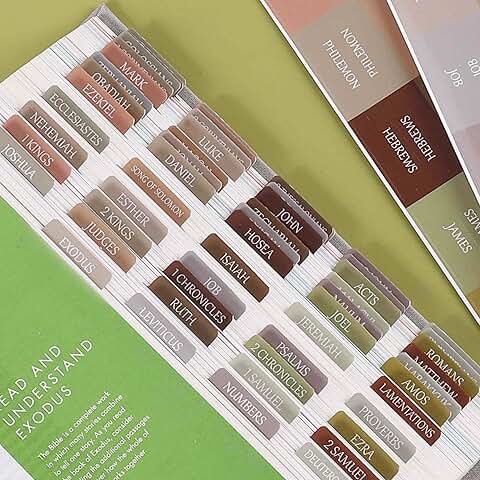 Large Print Laminated Bible Tabs in Earth Tones