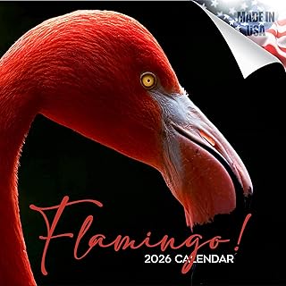 Flamingo Wildlife Calendar 2025-2026, 16 Months, 12"x24"