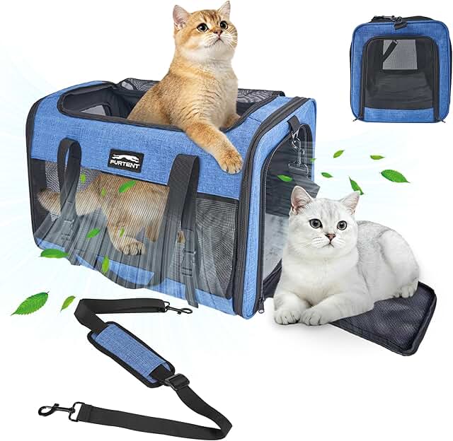Large Soft Cat Carrier for Two Cats