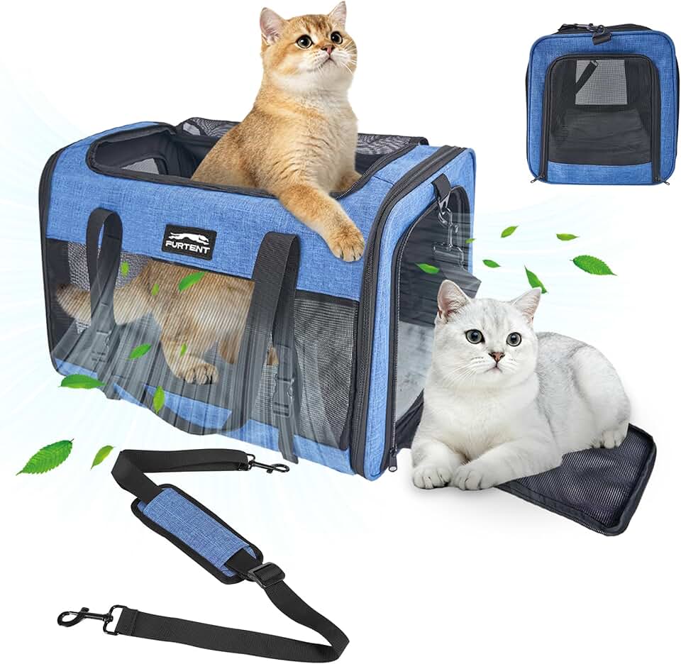 Large Soft Cat Carrier for Two Cats
